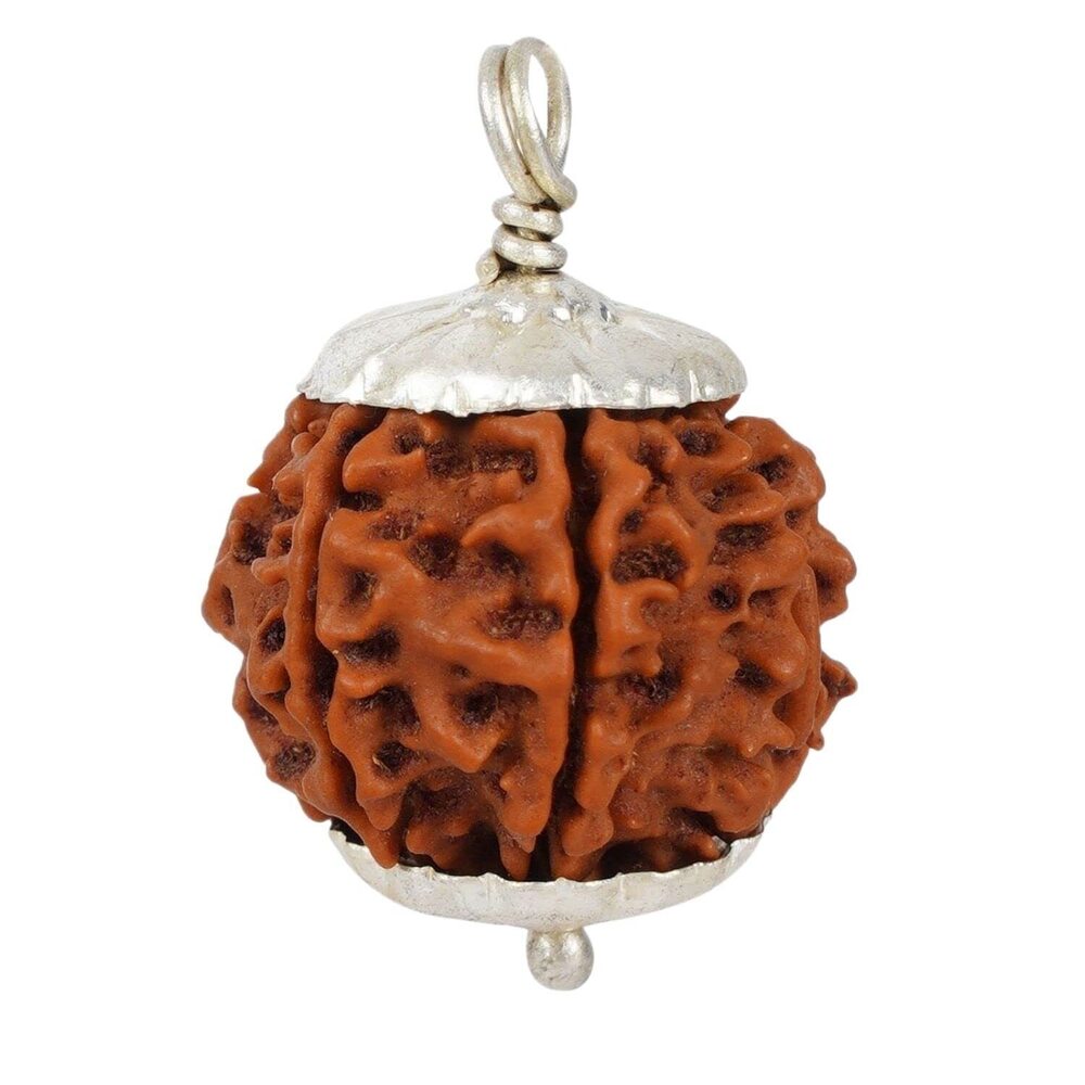 5154 7 Mukhi Rudraksha Bead Necklace, Certified & Original Seven-Faced